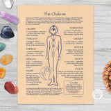 The Chakras Parchment Poster (8.5" x 11")