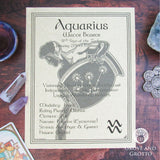 Aquarius Parchment Poster (8.5" x 11")
