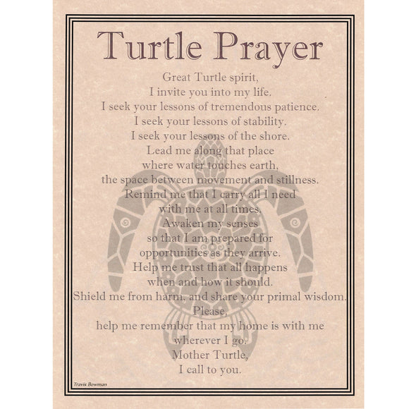 Turtle Prayer Parchment Poster (8.5