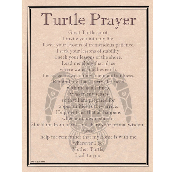 Turtle Prayer Parchment Poster (8.5