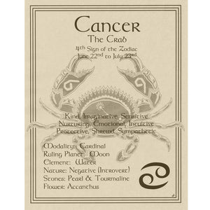 Cancer Parchment Poster (8.5" x 11")