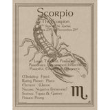 Scorpio Parchment Poster (8.5" x 11")