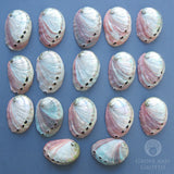 Red Abalone Shell (Small)