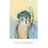 White Sage Tarot (Collectible Tin)