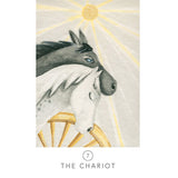 White Sage Tarot (Collectible Tin)